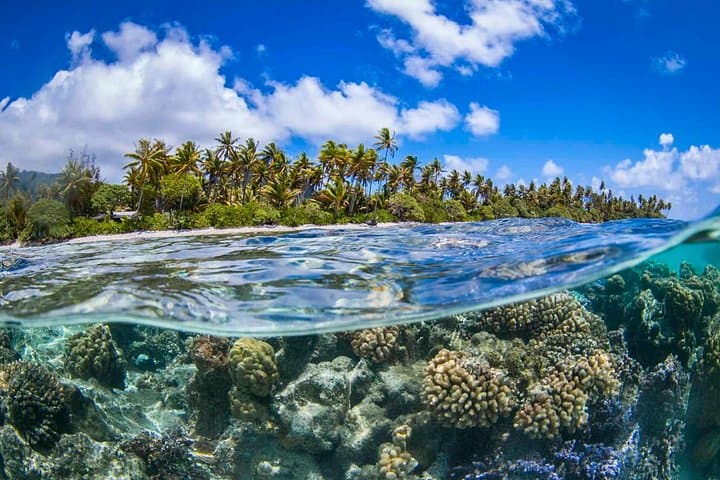 Apetahi Day Trip Around Raiatea — Dolphin Ballets, Snarl of Reefs & Faaroa River photo 4