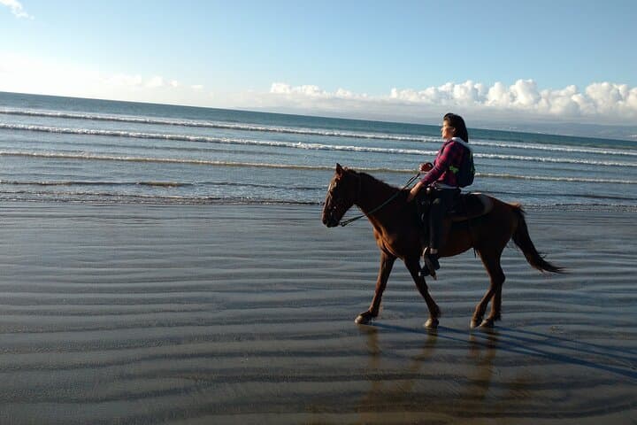 Discover Ensenada’s La Bufadora and Coastal Horseback Riding: A Private Day Adventure photo 5