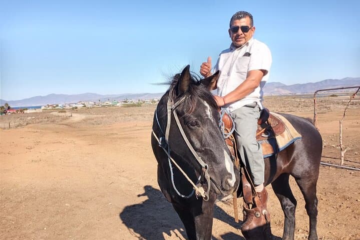 Discover Ensenada’s La Bufadora and Coastal Horseback Riding: A Private Day Adventure photo 6