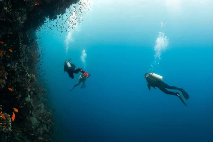 Blue Hole and Dahab Day Trip from Sharm El-Sheikh: Snorkel, Camel Ride & Bedouin Lunch photo 3