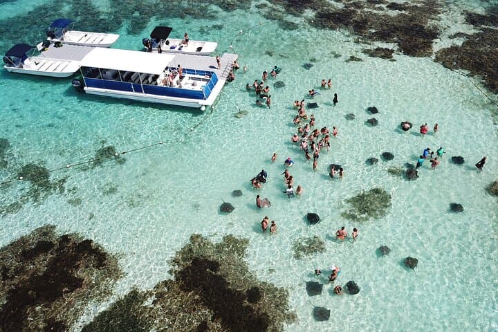 Antigua Stingray City Tour: Devil's Bridge, Long Bay & Betty's Hope photo 4