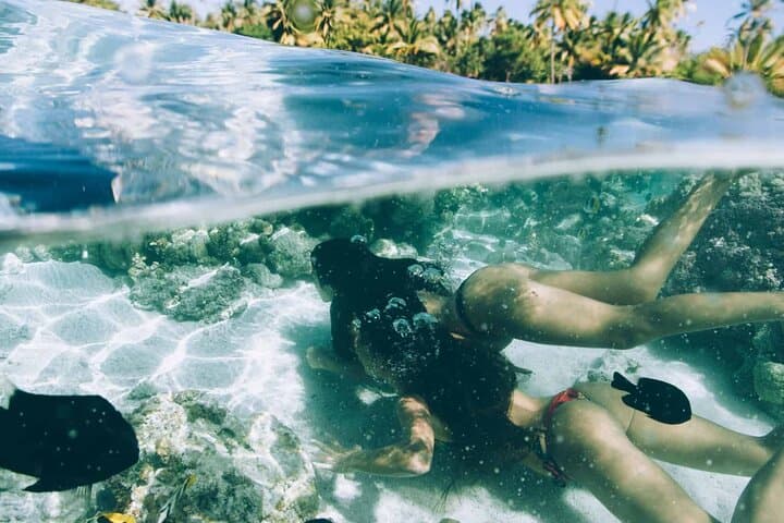 Tahaa Vanilla Tour: Full-Day Outrigger Canoe Excursion & Coral Garden Snorkel photo 6