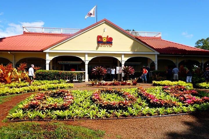 Private Oahu VIP Island Tour: Dole Plantation, North Shore & Kualoa Ranch photo 4