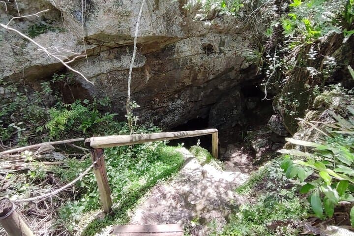 Snorkeling the Hidden Cenotes of Bayahibe: Jungle Caves & Crystal Waters photo 6