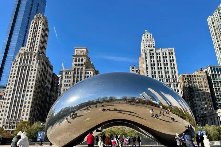 Private Art Walking Tour in Downtown Chicago — Cloud Gate, Crown Fountain & Picasso