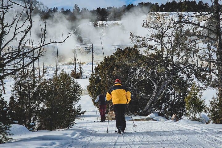 Explore Yellowstone’s Winter Wonderland: A 6-Day Guided Adventure photo 6