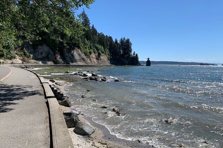 Stanley Park E-Bike Tour: Seawall, Totem Poles & Prospect Point