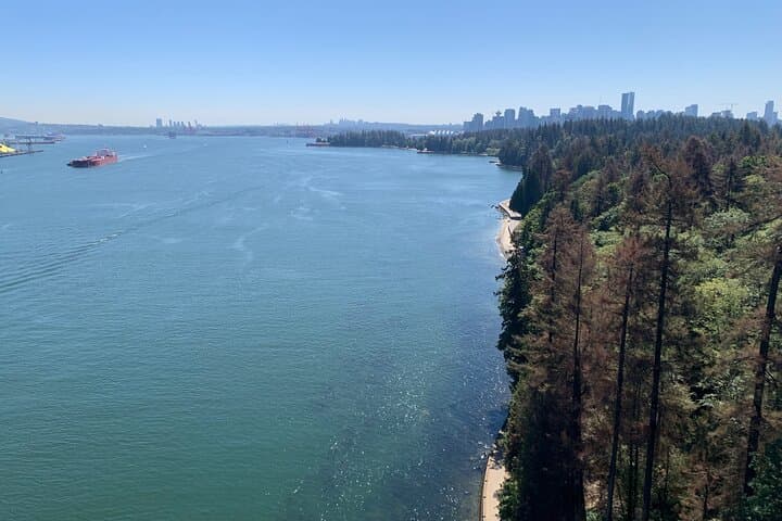 Stanley Park E-Bike Tour: Seawall, Totem Poles & Prospect Point photo 2