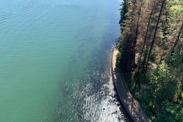 Stanley Park E-Bike Tour: Seawall, Totem Poles & Prospect Point photo 4