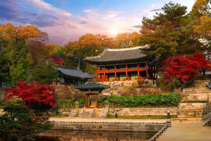 Seoul Cultural Deep Dive: 5-Day Korean Wave History Tour photo 2