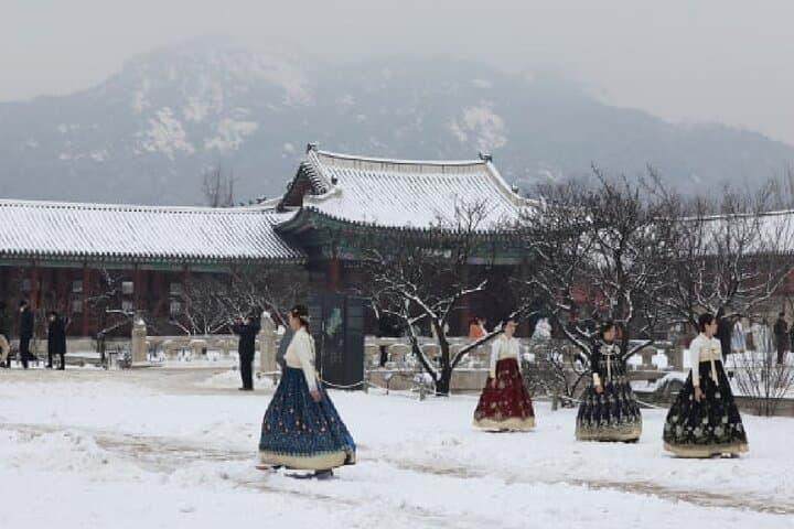 Seoul Cultural Deep Dive: 5-Day Korean Wave History Tour photo 4