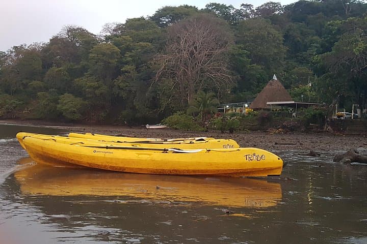 Paquera Bioluminescence Night Swim with Traditional Costa Rican Dinner photo 1