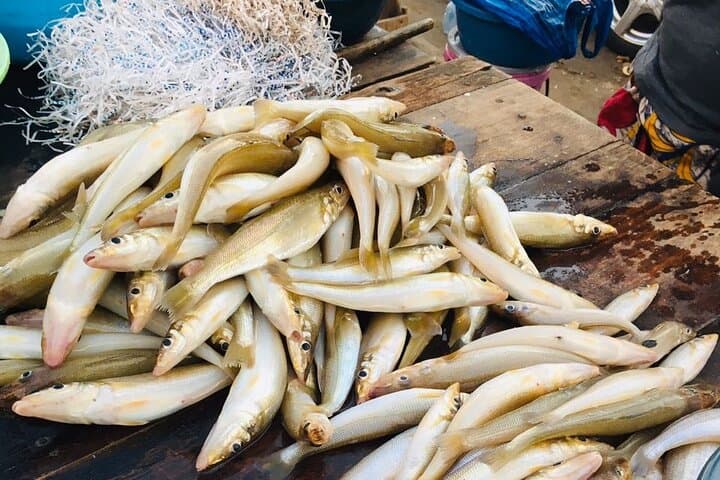 Taste of Africa: Half-Day Guided Food Tour in Maputo photo 6