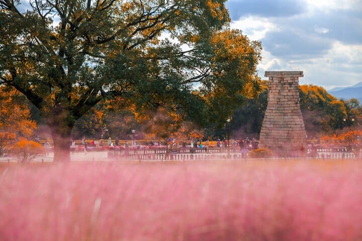 Gyeongju Maple Tour from Busan: Day Trip to Autumn Foliage, Pink Muhly & Bulguksa