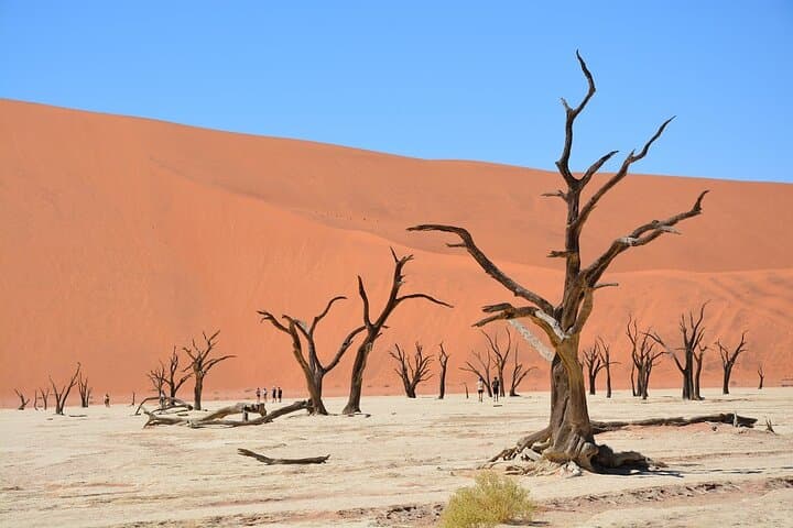 2-Day Sossusvlei and Sandwich Harbor Tour from Swakopmund — Dunes, Deadvlei & Flamingos