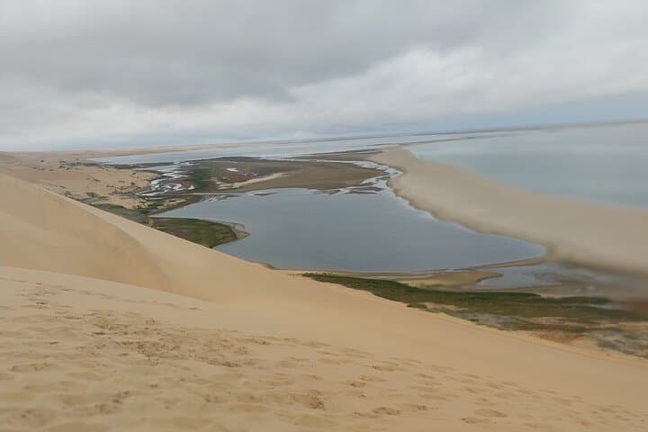 2-Day Sossusvlei and Sandwich Harbor Tour from Swakopmund — Dunes, Deadvlei & Flamingos photo 6