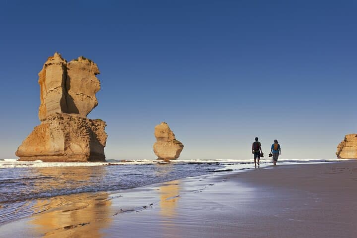 Reverse Great Ocean Road Private Day Tour — 12 Apostles, Otways & Koalas