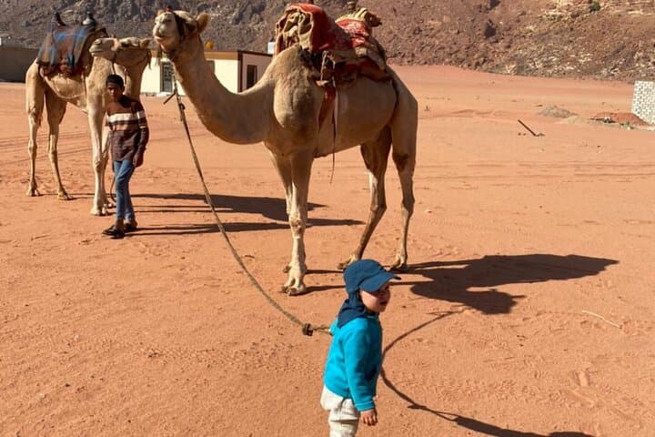 Wadi Rum 4-Hour Jeep Tour: Morning or Sunset Desert Highlights photo 3
