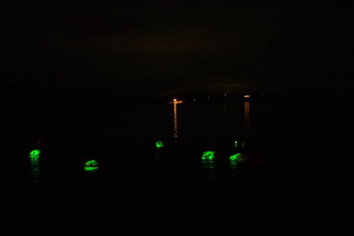 Night Swim with Bioluminescence in West Cork: Gealach an Fharraige Experience photo 3