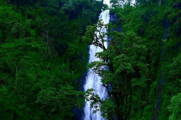 Materuni Waterfall & Chemka (Kikuletwa) Hot Spring Day Tour — Coffee, Hike & Swim Near Moshi