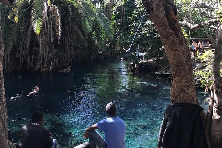 Materuni Waterfall & Chemka (Kikuletwa) Hot Spring Day Tour — Coffee, Hike & Swim Near Moshi photo 4