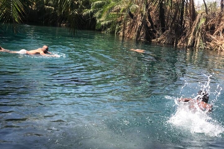 Materuni Waterfall & Chemka (Kikuletwa) Hot Spring Day Tour — Coffee, Hike & Swim Near Moshi photo 5