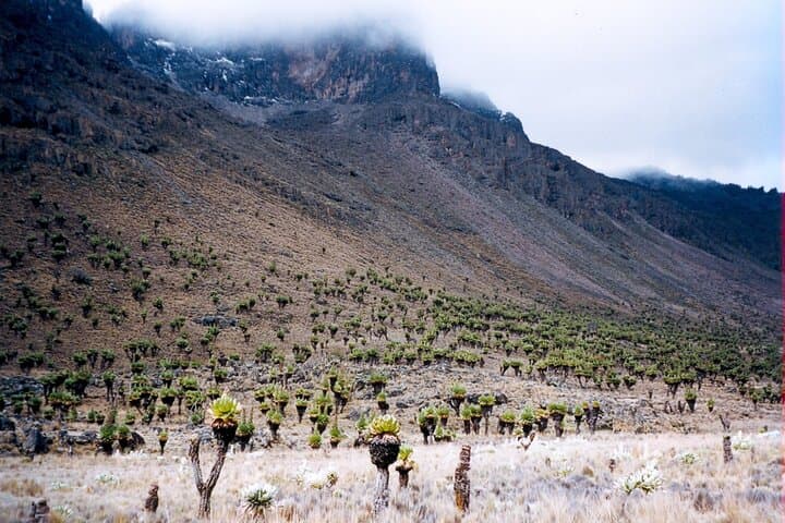 Full-Day Hike on Mount Kenya's Naro Moru Route from Nairobi photo 2