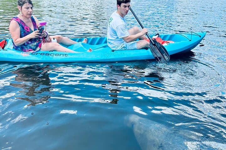 Cocoa Beach Dolphin & Manatee Kayak and SUP Adventure: Paddle the Banana River