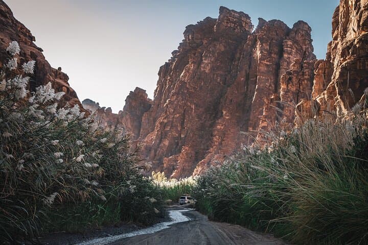 Wadi Al Disah and Al‑Shaq Full‑Day Adventure from Tabuk