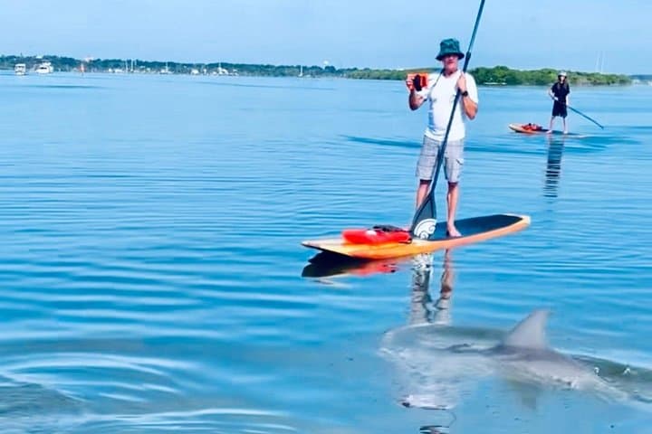 Cocoa Beach Dolphin & Manatee Kayak and SUP Adventure: Paddle the Banana River photo 2