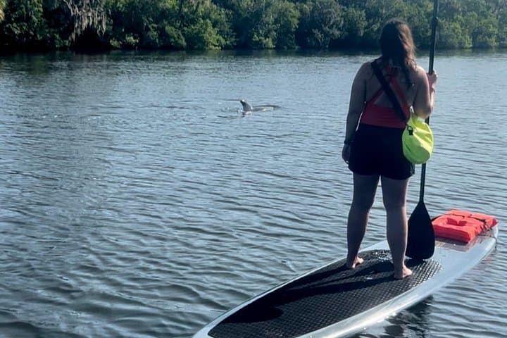 Cocoa Beach Dolphin & Manatee Kayak and SUP Adventure: Paddle the Banana River photo 3