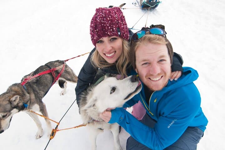 Knik Alaska 1.5-Hour Winter Dog Sledding Adventure Near Wasilla photo 1