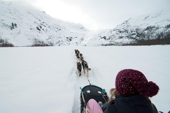 Knik Alaska 1.5-Hour Winter Dog Sledding Adventure Near Wasilla photo 4