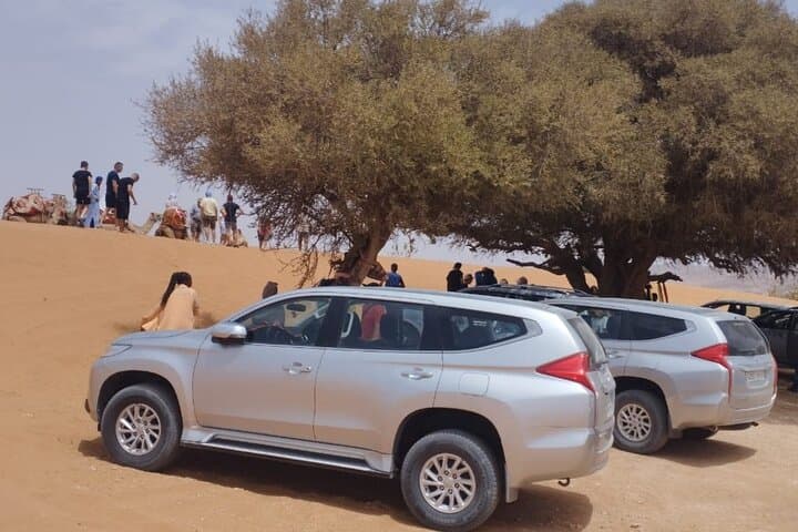 Full-Day Little Sahara and Tiznit Tour from Massa with Berber Lunch