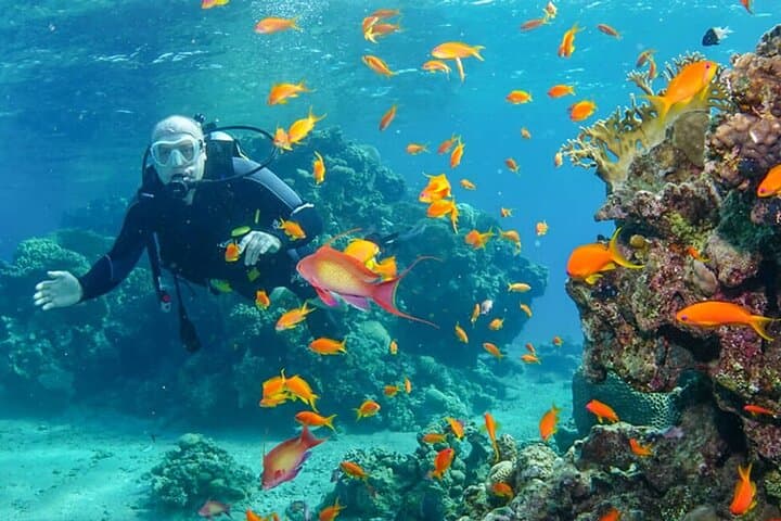 Luxor-to-Red-Sea-Snorkel-Day-Trip-to-Utopia-Island