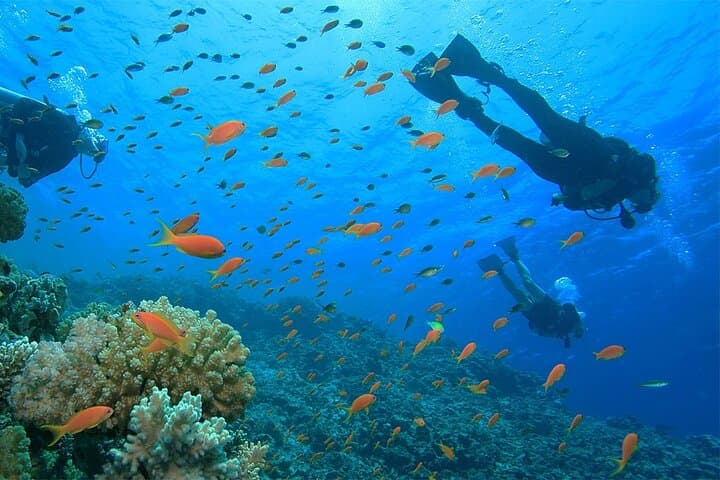 Luxor-to-Red-Sea-Snorkel-Day-Trip-to-Utopia-Island photo 2