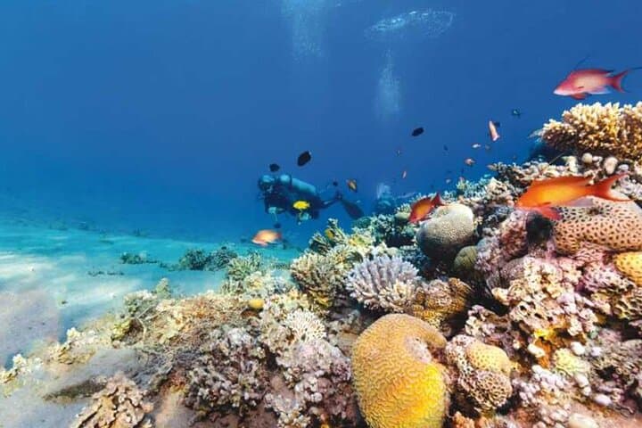 Luxor-to-Red-Sea-Snorkel-Day-Trip-to-Utopia-Island photo 4