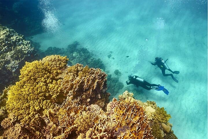 Luxor-to-Red-Sea-Snorkel-Day-Trip-to-Utopia-Island photo 5