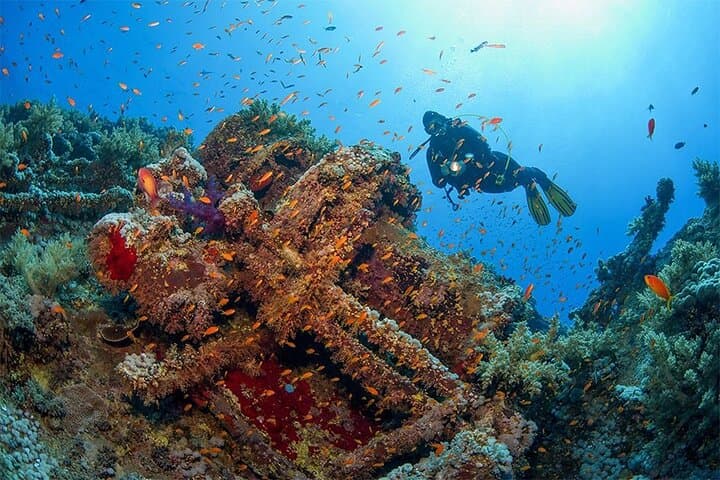Luxor-to-Red-Sea-Snorkel-Day-Trip-to-Utopia-Island photo 6