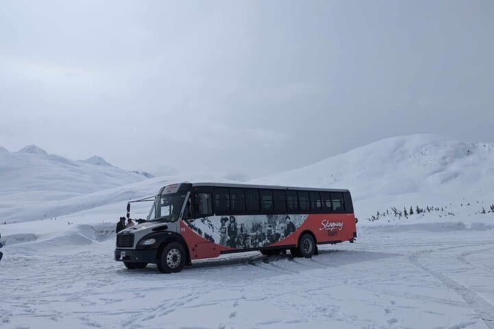 Guided Winter Wonderland Tour from Skagway: Experience Alaska to Yukon in Snow and Fall Colors