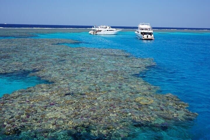 Hurghada Beginner Scuba Diving: 2 Dives, Lunch & Red Sea Reef Tour photo 3