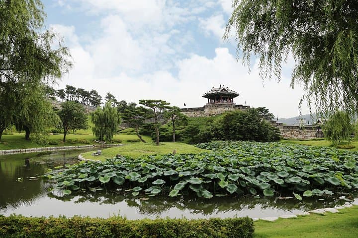 Suwon Hwaseong Fortress Half-Day Cultural Walk from Seoul photo 3