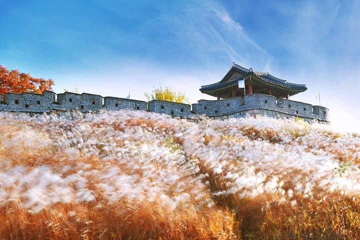 Suwon Hwaseong Fortress Half-Day Cultural Walk from Seoul