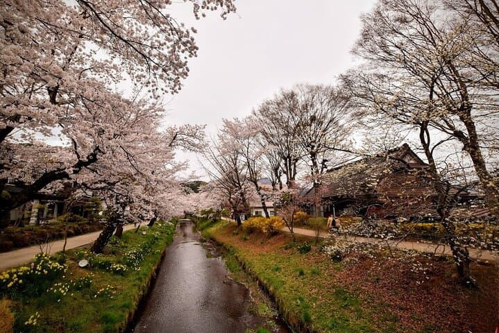 North-Facing Mt Fuji Day Trip from Tokyo with Photographer Guide photo 2