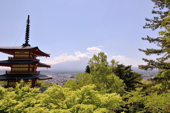 North-Facing Mt Fuji Day Trip from Tokyo with Photographer Guide photo 3