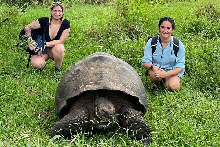 Galápagos Day Tour: Giant Tortoises, Lava Tunnels & Los Gemelos Craters photo 4