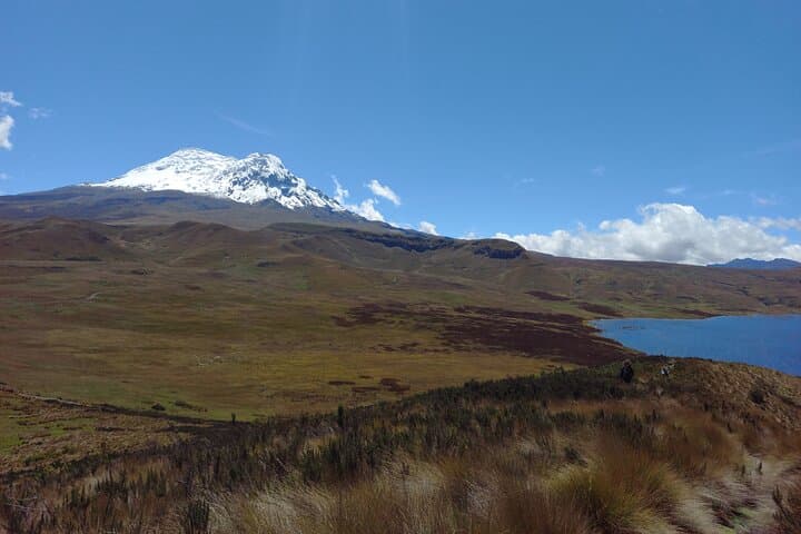 Antisana Volcano Private Tour — Mica Lagoon Wildlife, High-Altitude Views & Local Breakfast