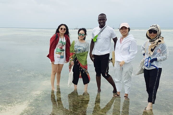 Half-Day Private Dolphins & Snorkeling Tour to Mnemba Island from Muyuni Beach photo 3