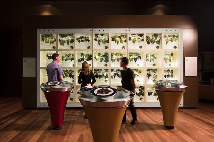 Adelaide Wine Discovery: Guided Tour and Tasting at Australian Wine Story