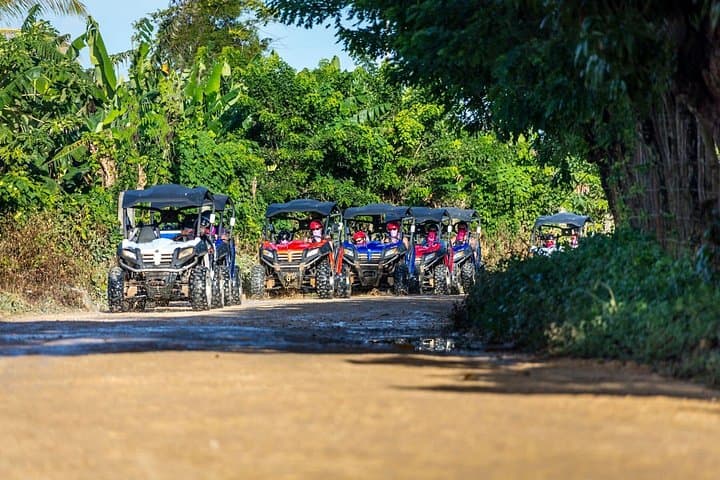 Macao Beach Buggy Safari & Cenote Swim — Terracross to Domitai Cave Park photo 3